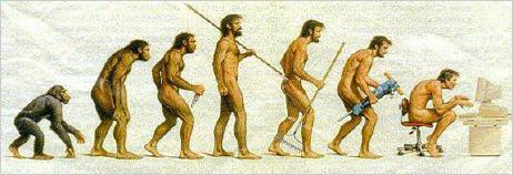 evolution_mensch_laufen